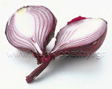 Εικόνα Άρθρου