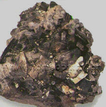 Εικόνα Άρθρου