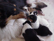 Εικόνα Άρθρου