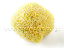 Εικόνα Άρθρου