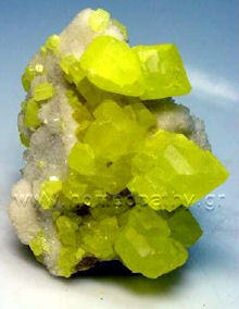 Εικόνα Άρθρου